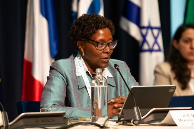 Elizabeth Maruma Mrema2, UNEP