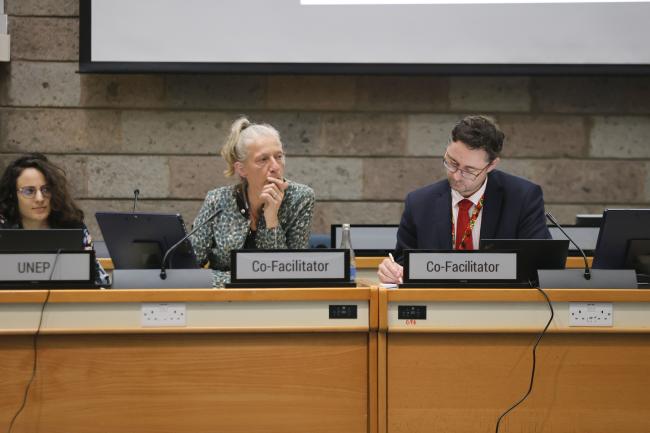 Gudi Alkemade, the Netherlands, and Přemysl Štěpánek, Czechia, Co-Facilitators of Contact Group 4 