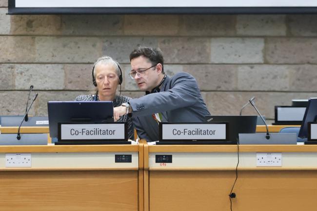 Gudi Alkemade, the Netherlands, and Přemysl Štěpánek, Czechia, Co-Facilitators of Contact Group 4 