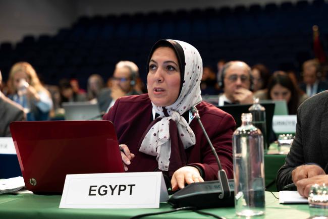 Heba Sharawy, Egypt taking the floor