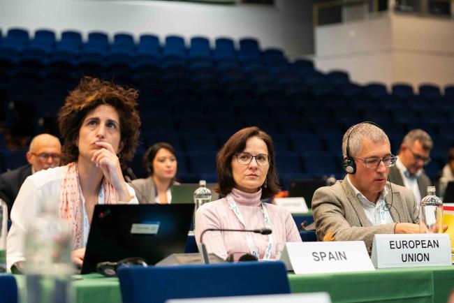 Italian delegation during ministerial declaration