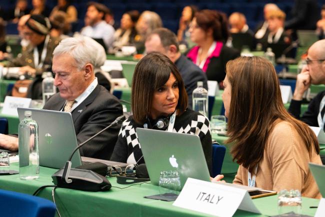 Italian delegation during the session