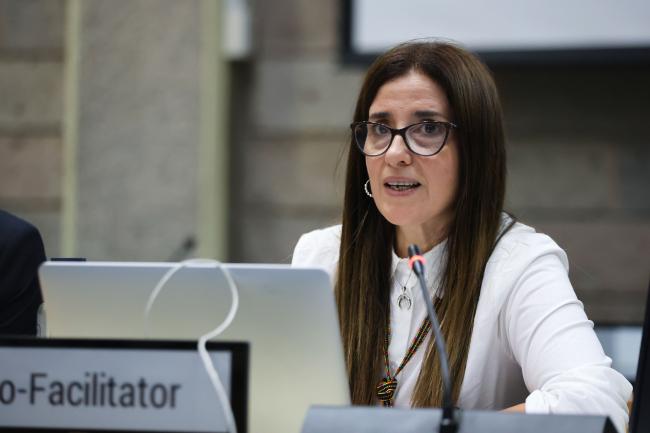 Judith Torres, Uruguay, Co-Facilitator of Contact Group 2