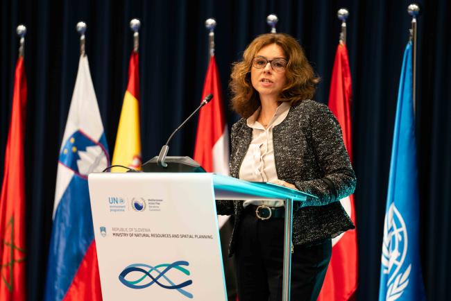 Maša Kociper, State Secretary at the Office of the Prime Minister of Slovenia 