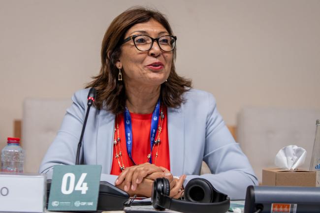 Maria Helena Semedo, Deputy Director General, FAO