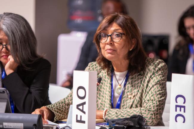 Maria Helena Semedo, Deputy Director-General, FAO