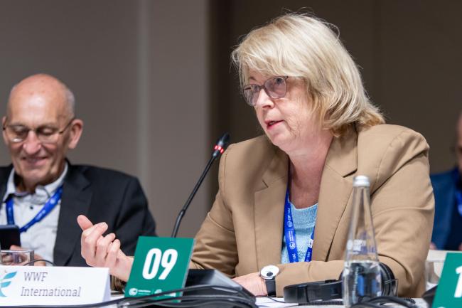 Martina Fleckenstein, WWF International