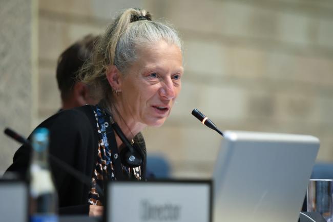 OEWG Chair Gudi Alkemade 