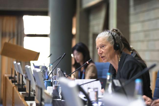 OEWG Chair Gudi Alkemade