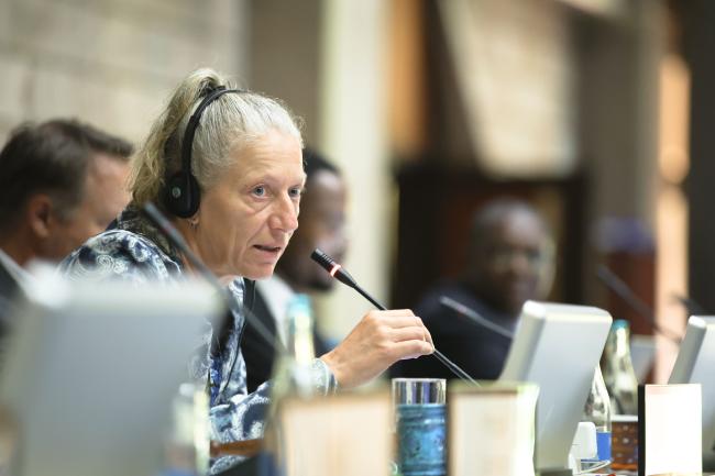 OEWG Chair Gudi Alkemade 