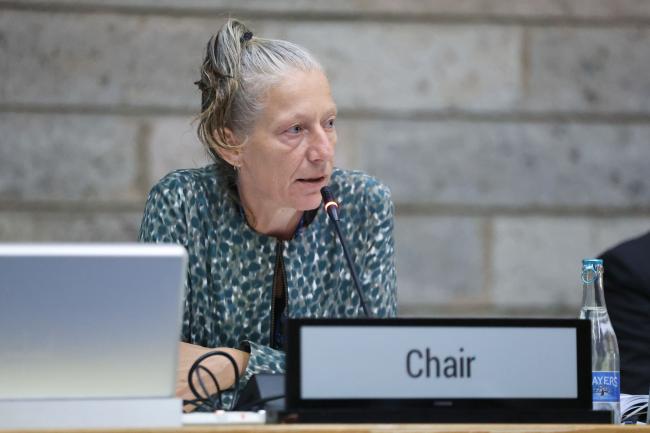 OEWG Chair Gudi Alkemade 