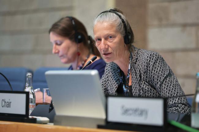OEWG Chair Gudi Alkemade 
