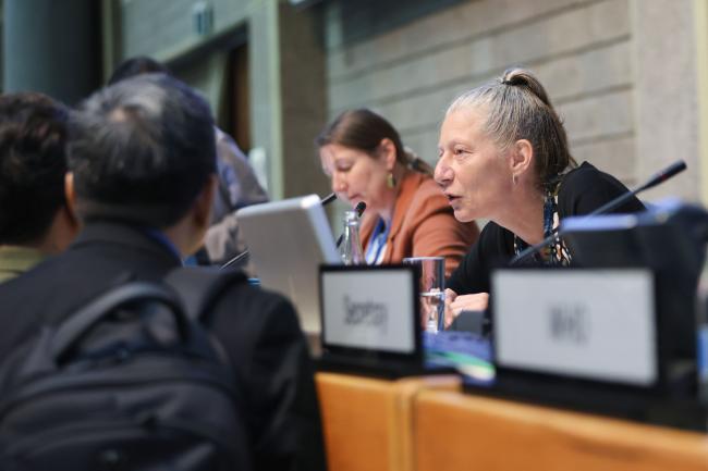 OEWG Chair Gudi Alkemade consulting with delegates