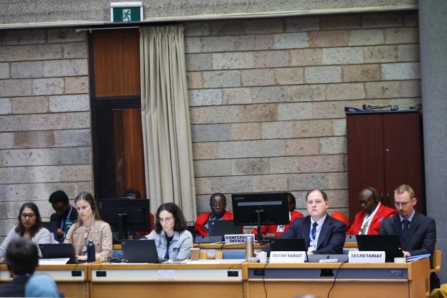 OEWG Secretariat during the plenary
