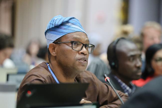 Olubunmi Olusanya, Nigeria, on behalf of the African Group