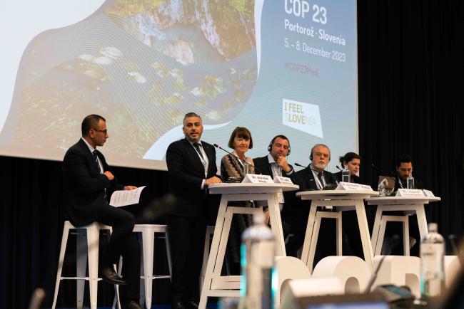 Panel on Green transition in the Mediterranean