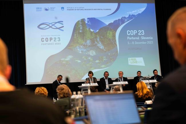 Panel 'Green transition in the Mediterranean - From decisions to actions' 