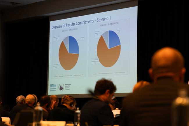 Participants listen to presentation on Programme of Work and Budget