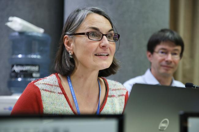 Penny Vlahos, International Panel on Chemical Pollution 