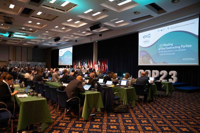 Plenary on day two of COP 23