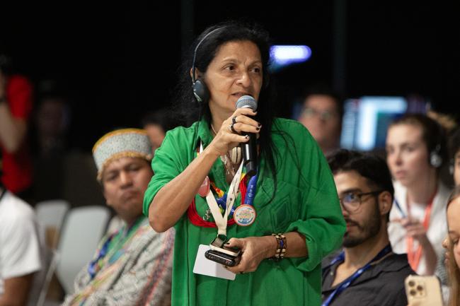 QA Participants - Natural Justice - Side Event COP28 - 3 Dec 2023 - Photo