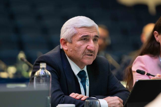 Recep Akdeniz, Türkiye
