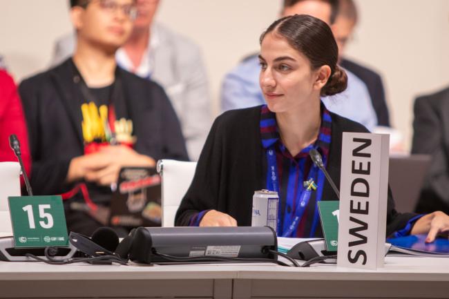 Romina Pourmokhtari, Minister for the Climate and the Environment, Sweden