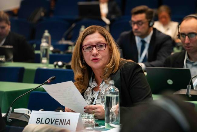 Slovenian delegation taking the floor