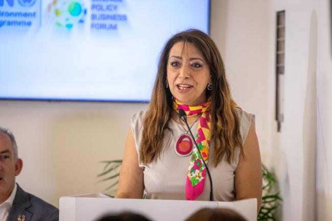 Shereen Zorba, Head, UN-SPBF