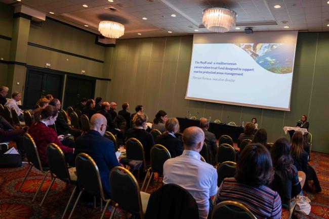 Side event 'Together to contribute to GBF through the effective implementation of the SAP BIO'
