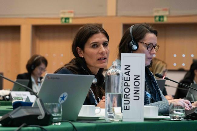 Silvia Bartolini, European Union