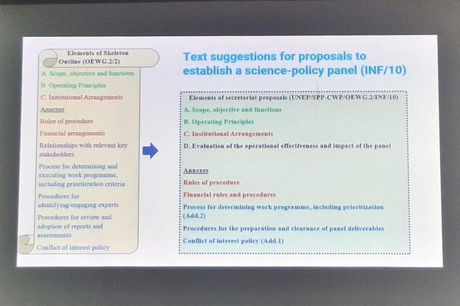 Slide detailing the elements of the skeleton outline for proposals for the establishment of a science-policy panel