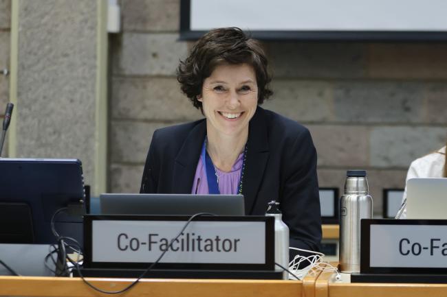 Sofia Tingstorp, Sweden, Co-Facilitator of Contact Group 2 