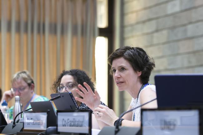 Sofia Tingstorp, Sweden, Co-Facilitator of Contact Group 2 