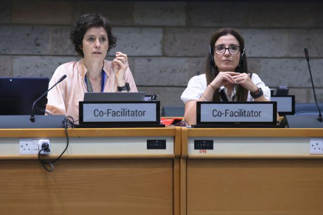 Sofia Tingstorp, Sweden, and Judith Torres, Uruguay, Co-Facilitators of Contact Group 2 
