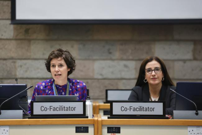 Sofia Tingstorp, Sweden, and Judith Torres, Uruguay, Co-Facilitators of Contact Group 2 