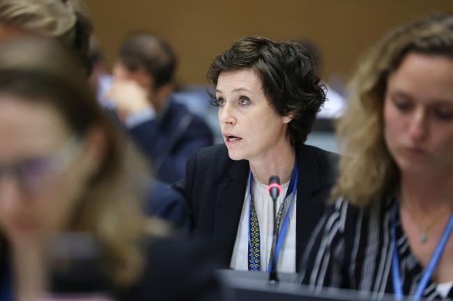 Sofia Tingstorp, Sweden, reporting back from Contact Group 2