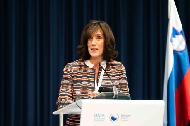 Susana Salvador, Agreement on the Conservation of Cetaceans of the Black Sea, Mediterranean Sea and contiguous Atlantis area (ACCOBAMS)