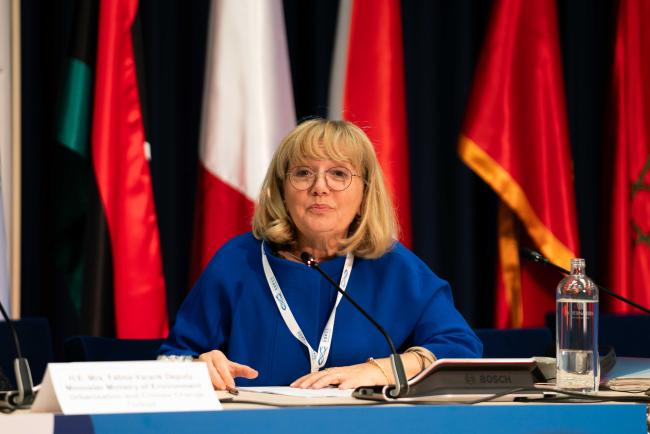 Tatjana Hema, Coordinator of UNEP/MAP – Barcelona Convention