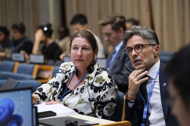 Tessa Goverse, Principal Coordinator, OEWG Secretariat, and Didier Salzmann, Chief Administrator, UNEP 