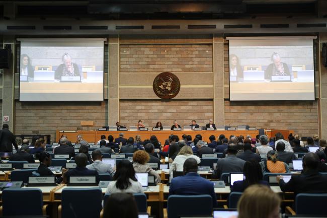 View of the room during the opening plenary 