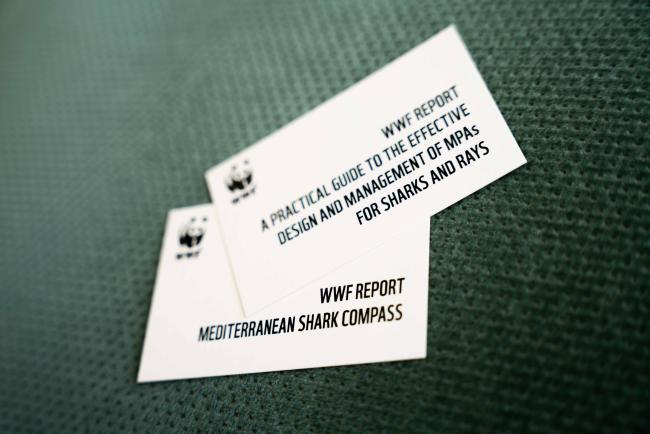 WWF cards promoting their WWWF report on Rays and Sharks