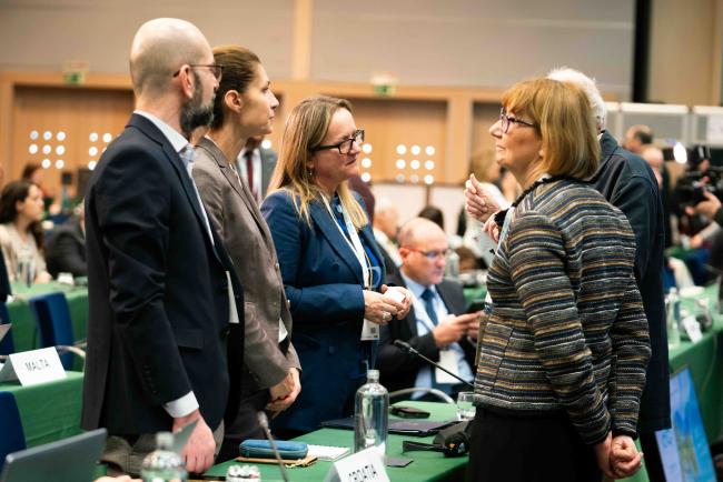 delegates before plenary2