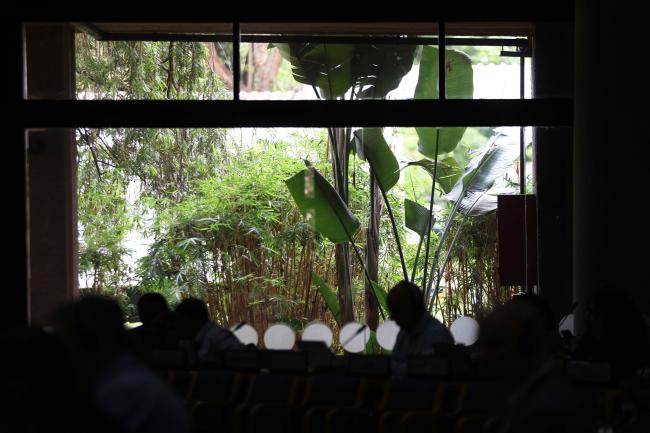view from the window of the plenary 