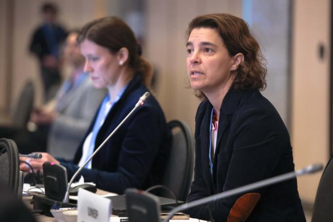 Annett Moehner, UNFCCC Secretariat 
