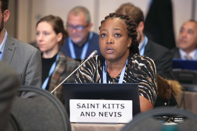Cheryl Jeffers, Saint Kitts and Nevis, reporting back from the Contact Group 