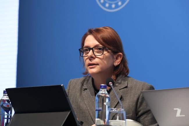 Emira Fida, IPCC Secretariat 