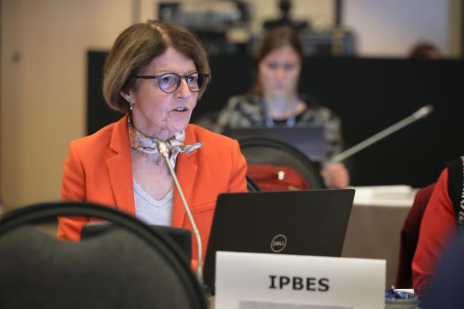 IPBES Executive Secretary Anne Larigauderie