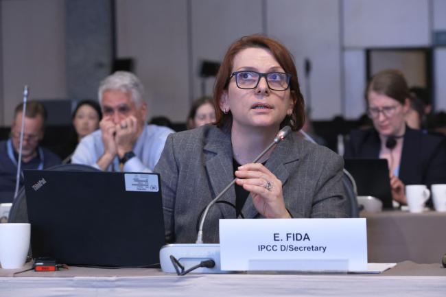 IPCC Deputy Secretary Emira Fida 