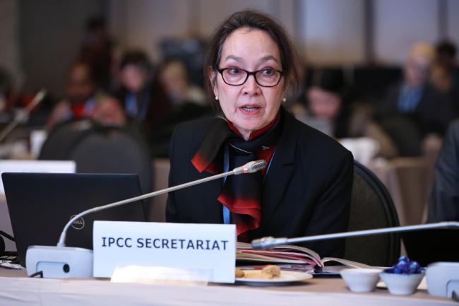 Jennifer Lew Schneider, IPCC Legal Advisor 